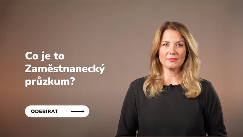 Zaměstnanecký průzkum