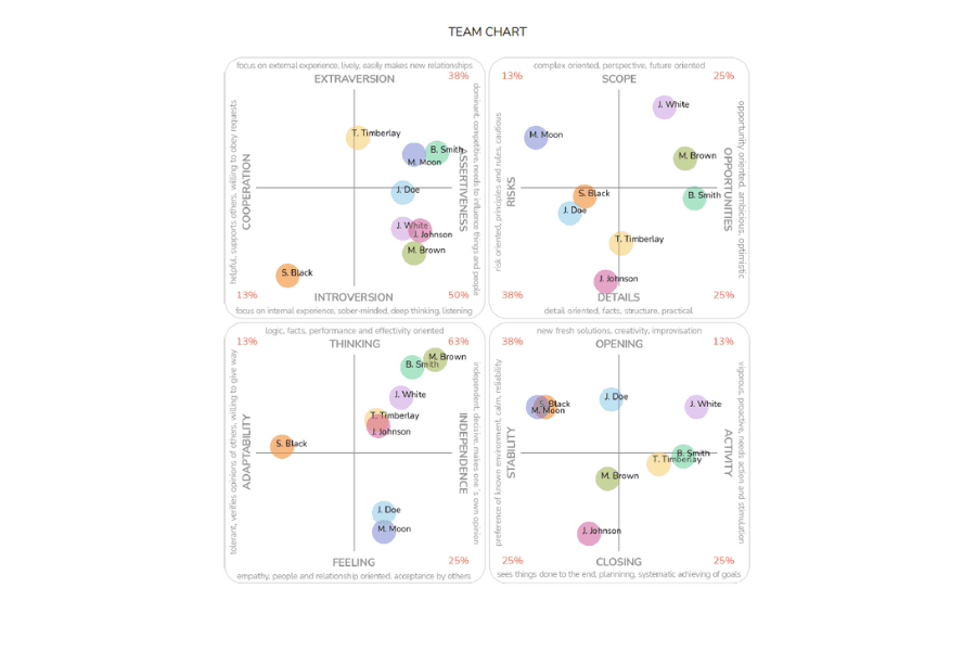 Multifactor Personality Profile – TCC online – team output reports