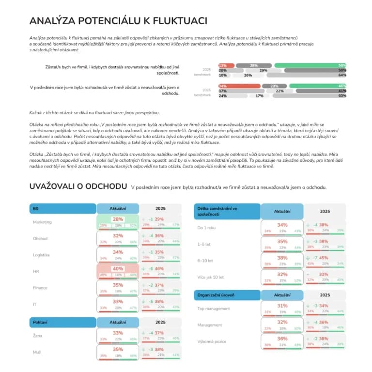 Analýza potenciálu k fluktuaci – ukázka z výstupní zprávy