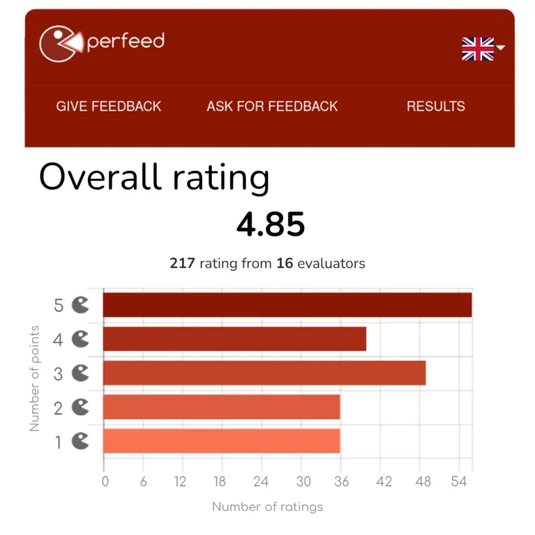 Perfeed Product Output Sample—Overall Evaluation