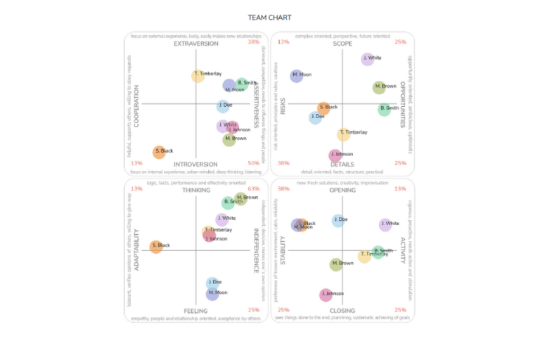 Multifactor Personality Profile – TCC online – team output reports