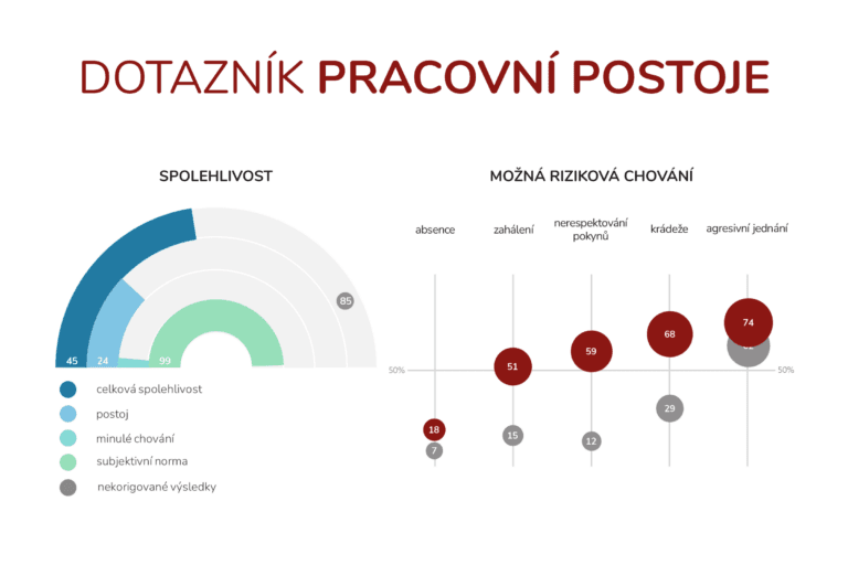 Dotazník Pracovní postoje, ukázka výstupní zprávy