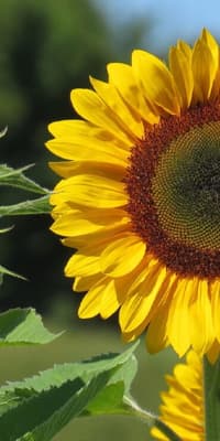 Do you want to get to know your personality and support your personal development?